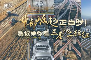 记者：深圳新鹏城内援人选有林创益、张卫、陶源、彭鹏等